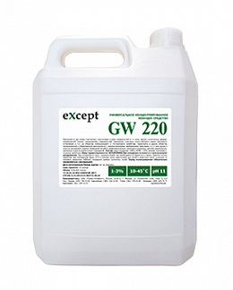 eXcept GW 220 нейтральное пенное средство для мытья окон